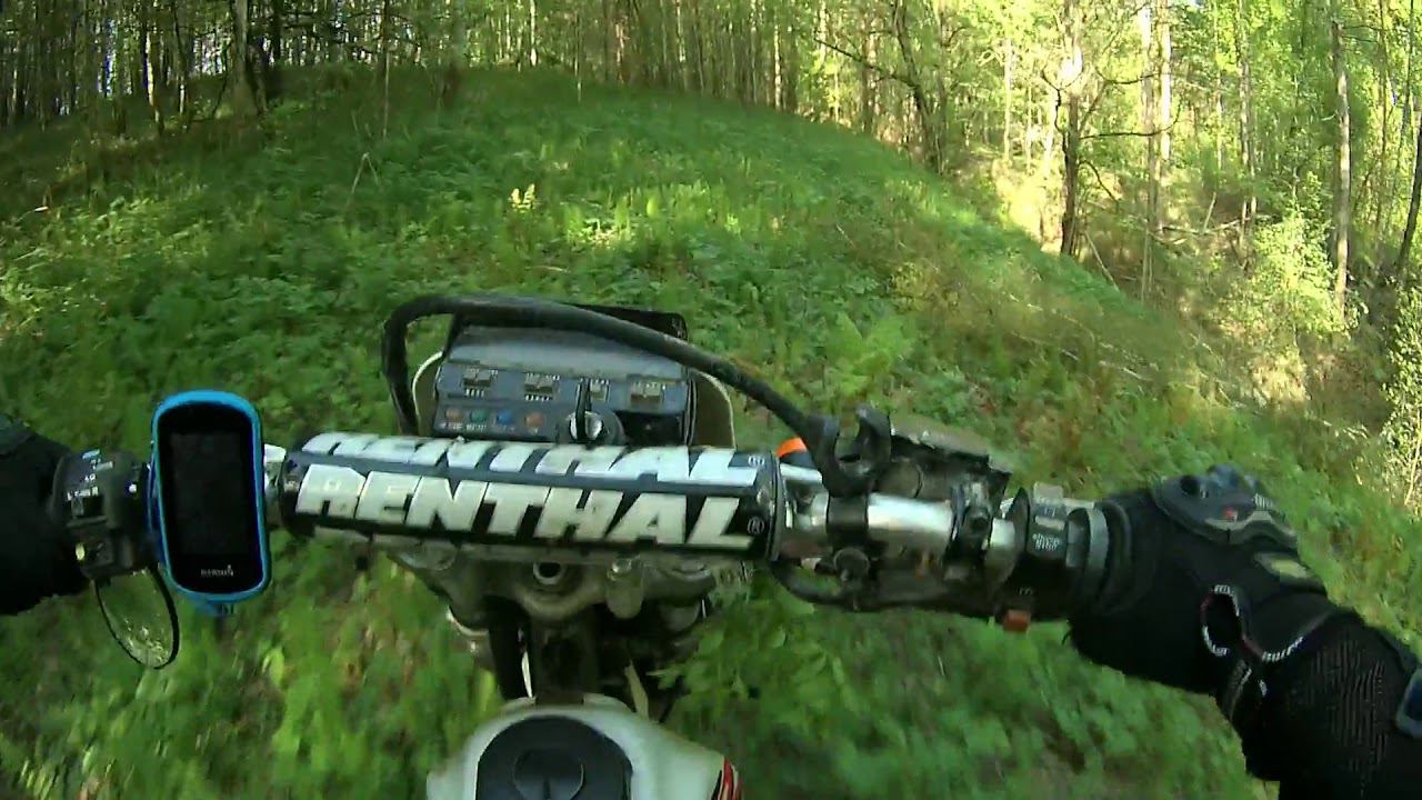 Одиночный выезд в Елисеевичи 08.05.18 (встреча с лисой)