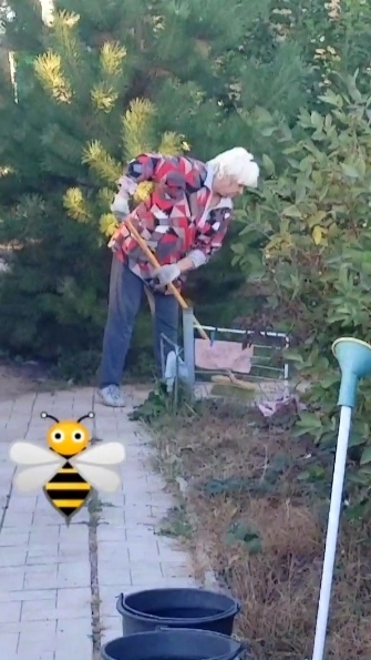 Дачные стишки-вертушки 27.09.2024 смотреть онлайн