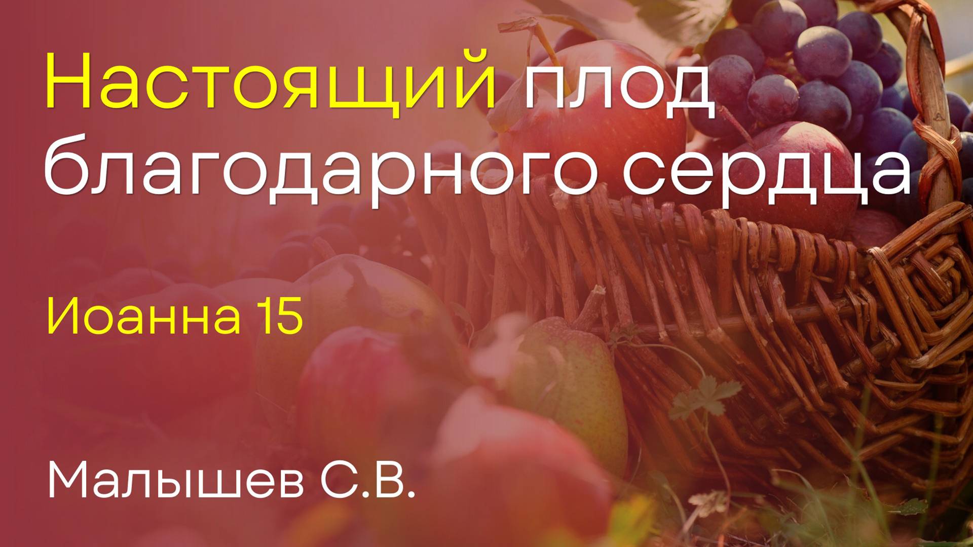 Настоящий плод благодарного сердца | Малышев С.В. смотреть онлайн