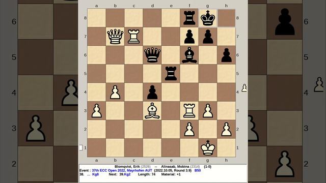 Blomqvist, Erik vs Alinasab, Mobina | 37th ECC Chess Open 2022, Mayrhofen Austria смотреть онлайн