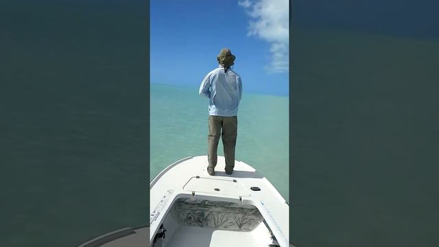 Westside fishining with mark bastian смотреть онлайн