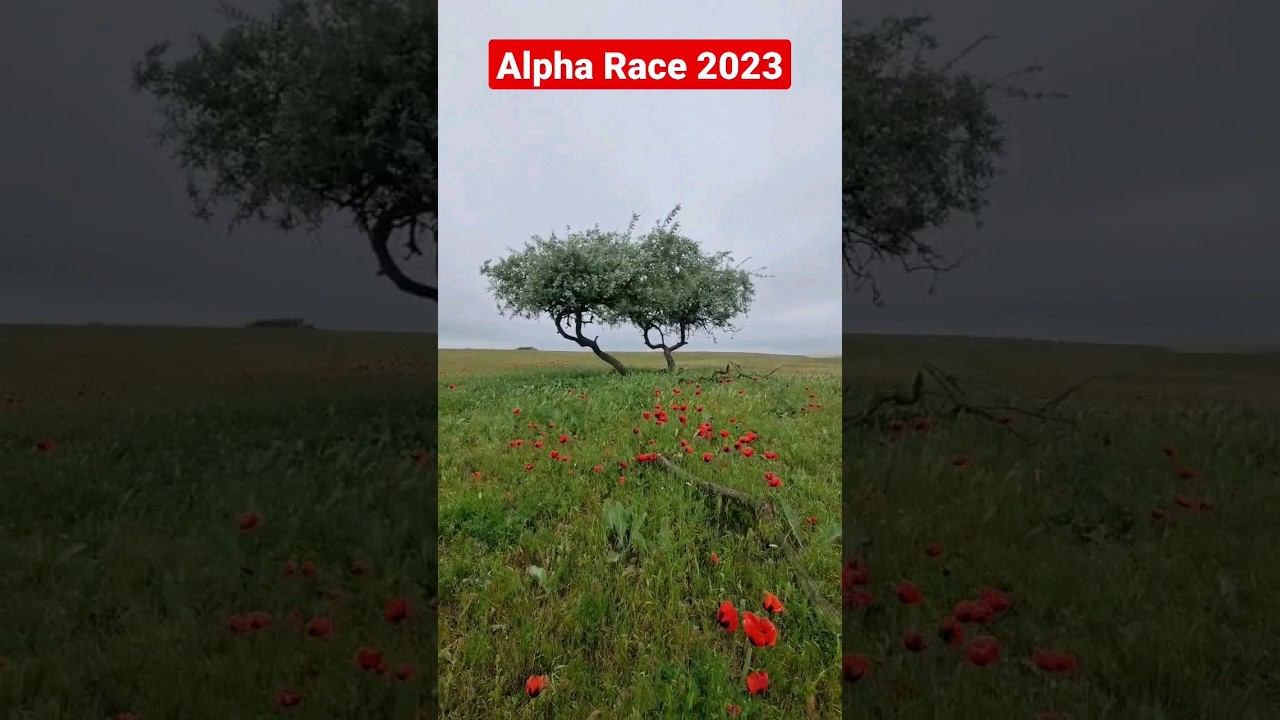 #alpharace #раллирейды #4x4 #автоспорт смотреть онлайн