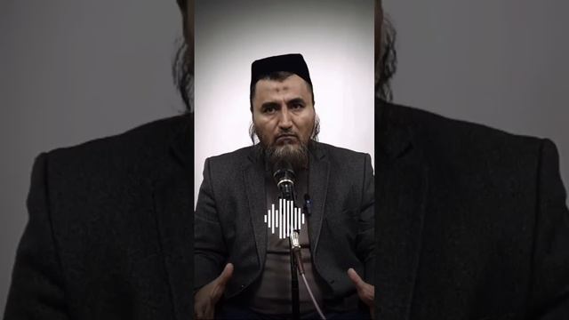 Рошадхон домла/ Фаластин хакида хакикатни очиклади Ма шаа Аллох. смотреть онлайн