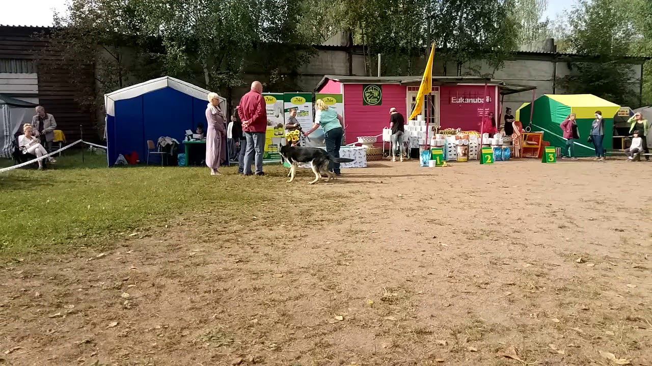 9 сентября 2018 г. смотреть онлайн