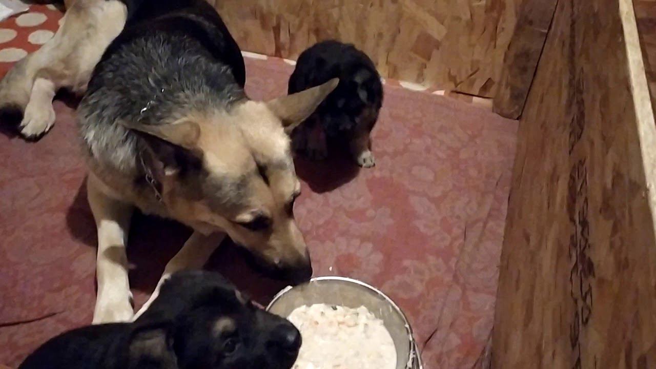VID 20200111 182642 смотреть онлайн