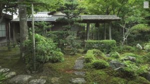 [4K] Moss Gardens in Kyoto 10 selections