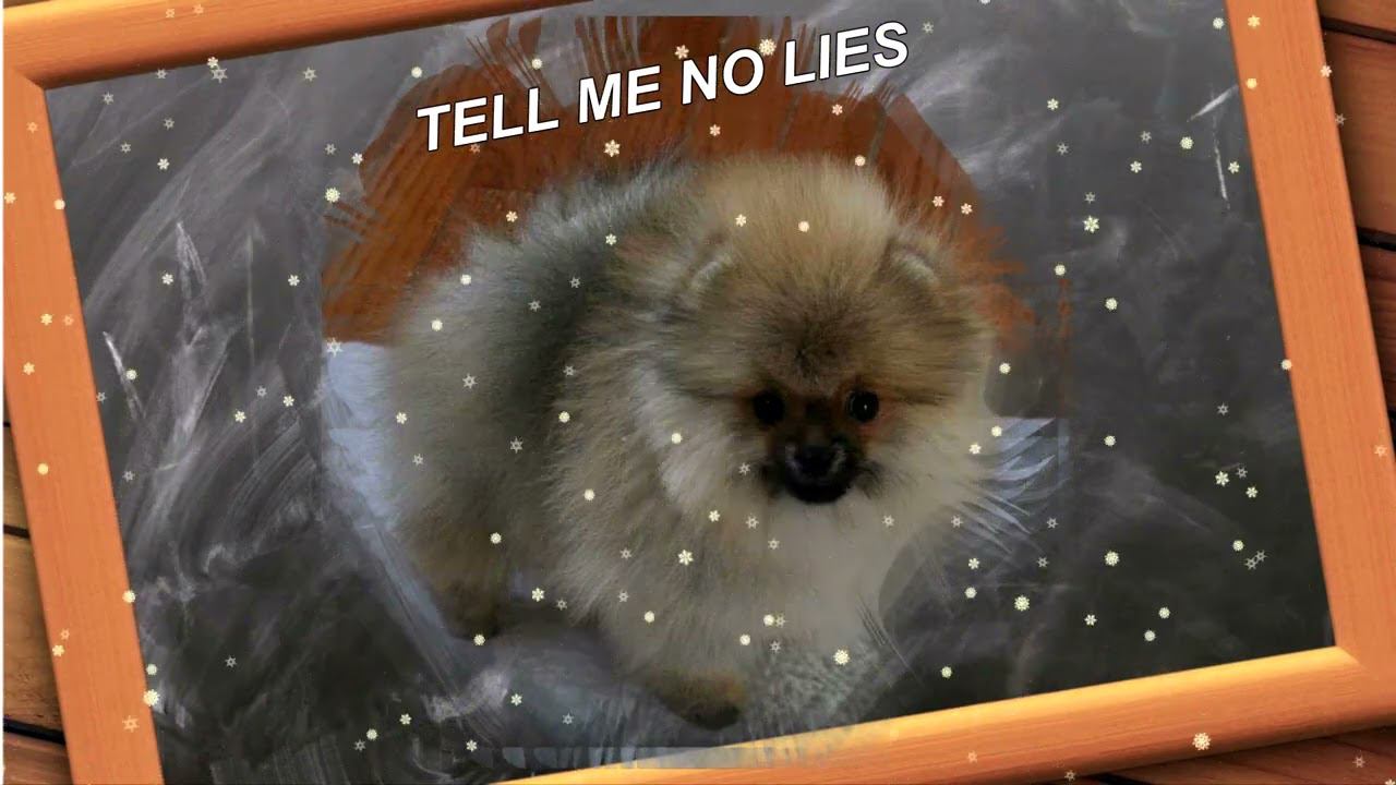 DAMASCUSRO TELL ME NO LIES смотреть онлайн