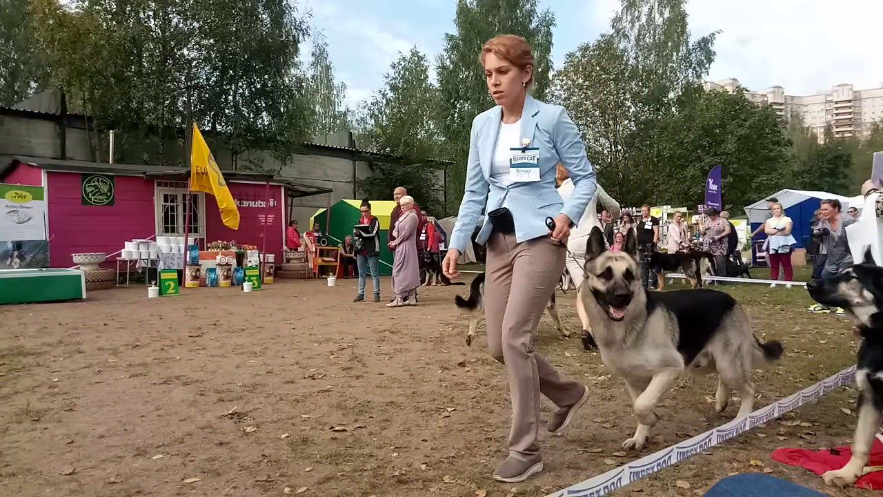 Верный Друг Гардиан смотреть онлайн