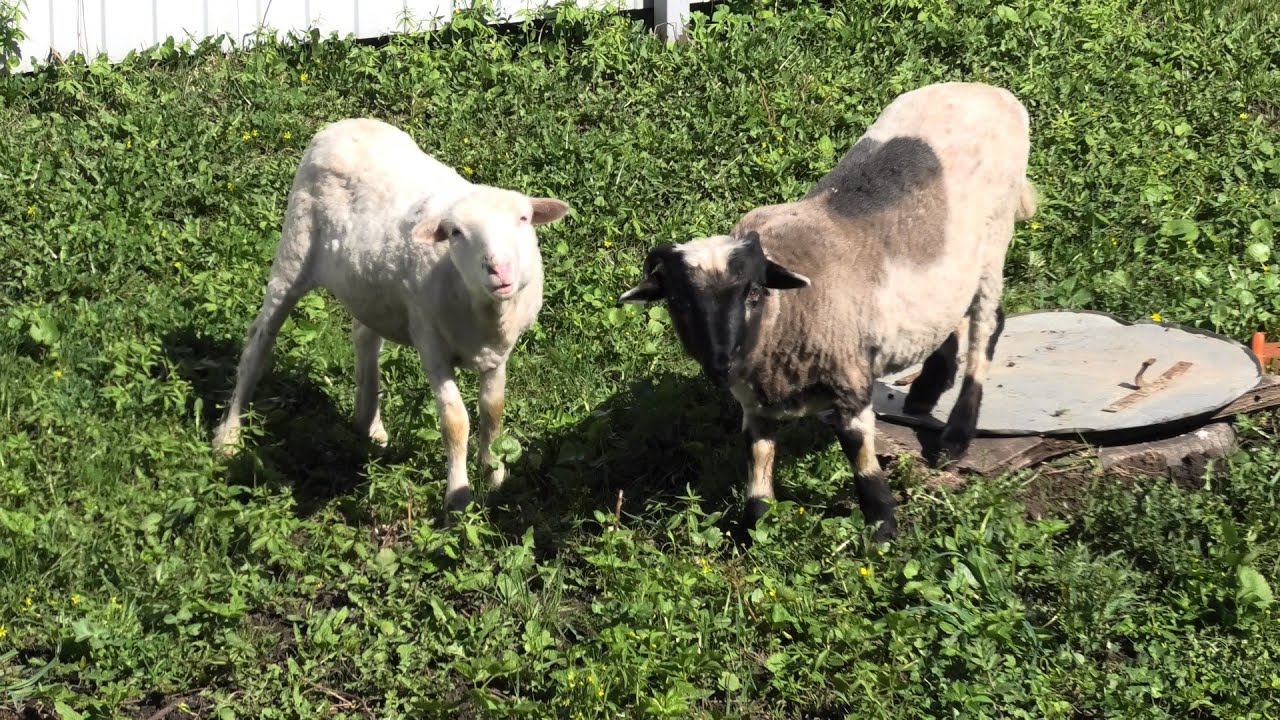 Бюджетный интернет в частный дом смотреть онлайн