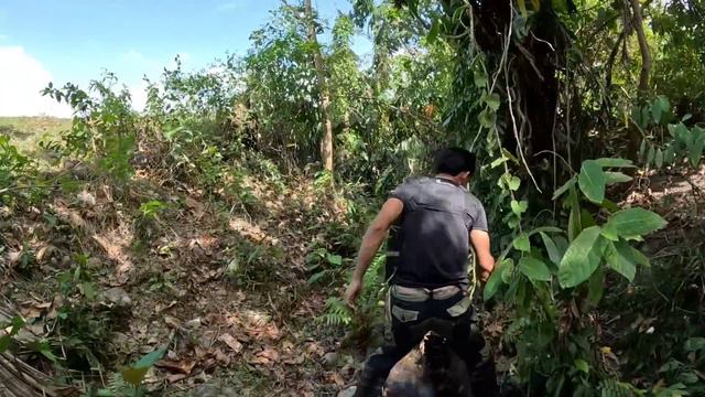 PATAY ANG ISANG TAGA BICOL SA KAGAT NG KING COBRA смотреть онлайн