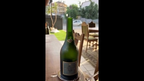 UNUSUAL MEMES COMPILATION V269