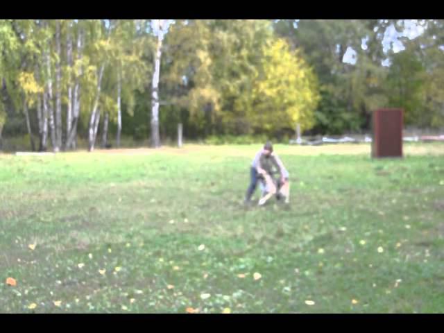 Каури Каскад занятия. смотреть онлайн