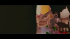 Ведущий Владимир Чернаков! НЕ Тамада!