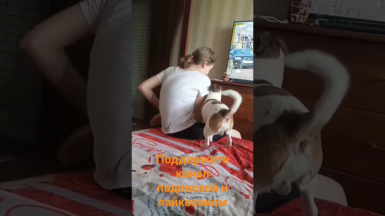 Боба дрюкает соню смотреть онлайн