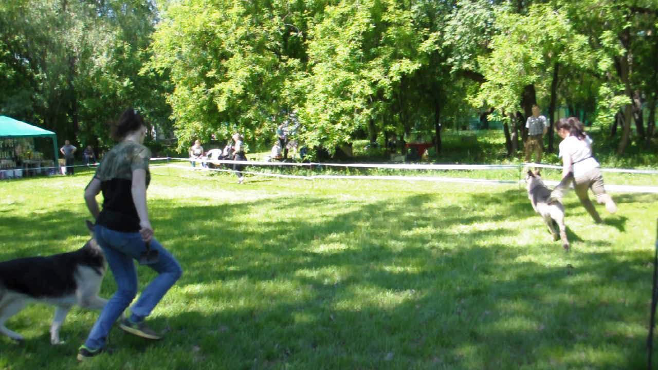 Сравнение на ЛЮ смотреть онлайн