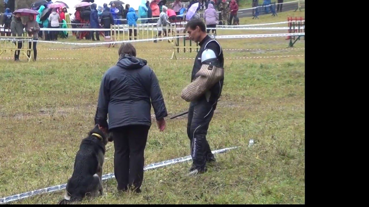 ЕЖЕВИКАmp4 смотреть онлайн