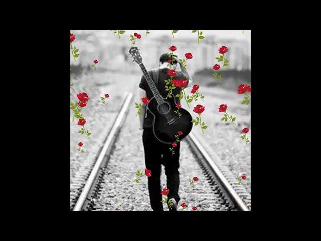 Дворовая песня 70х Я вижу красные цветы в руках влюблённых