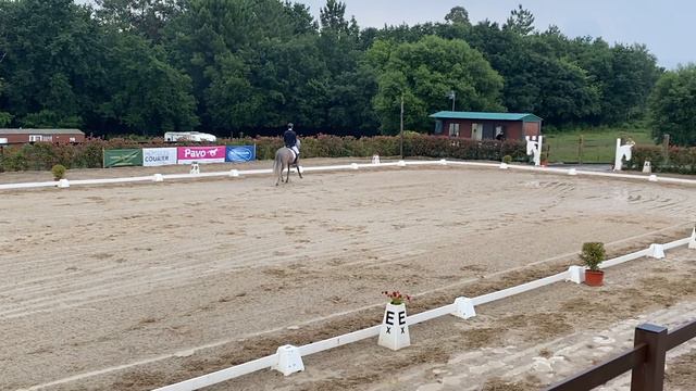 Carlos Jacobo Sotelo Rodríguez & Negron F