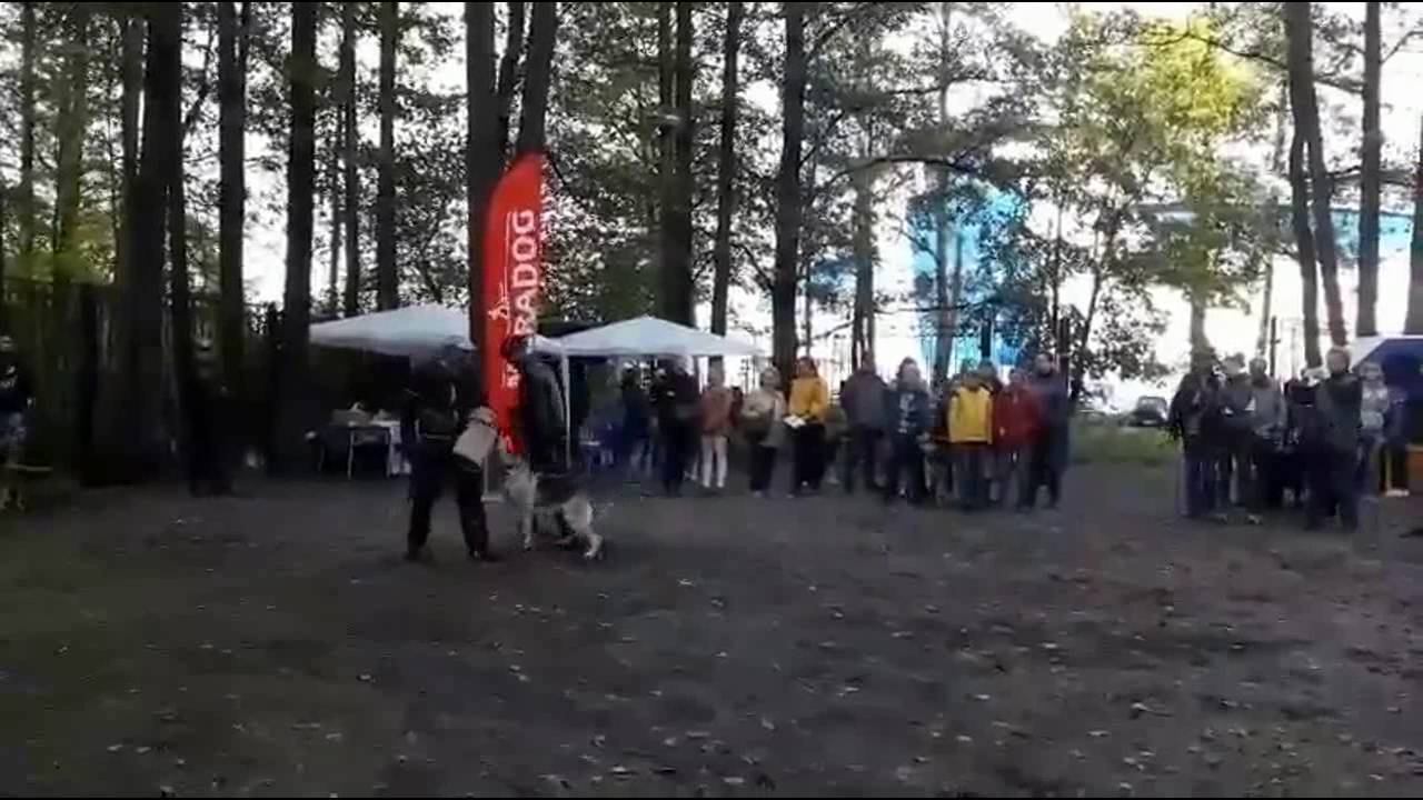КОНВОЙ смотреть онлайн