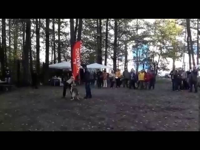 Задержание .Барвиттера Иберия.ЦВЕО смотреть онлайн