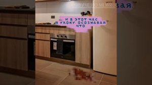 My little worms | РУССКАЯ ОЗВУЧКА 1-6 часть