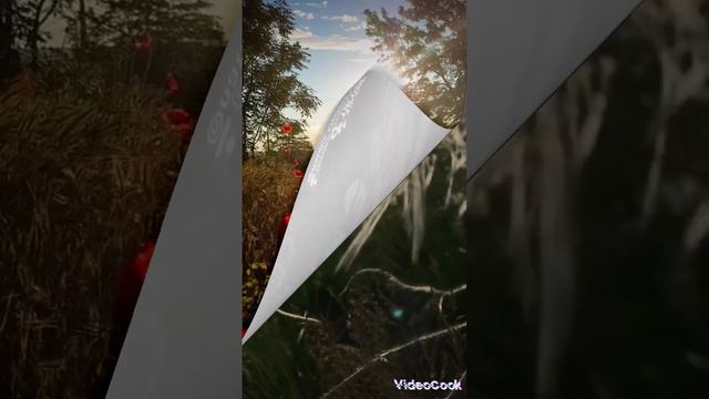 королева красоты смотреть онлайн
