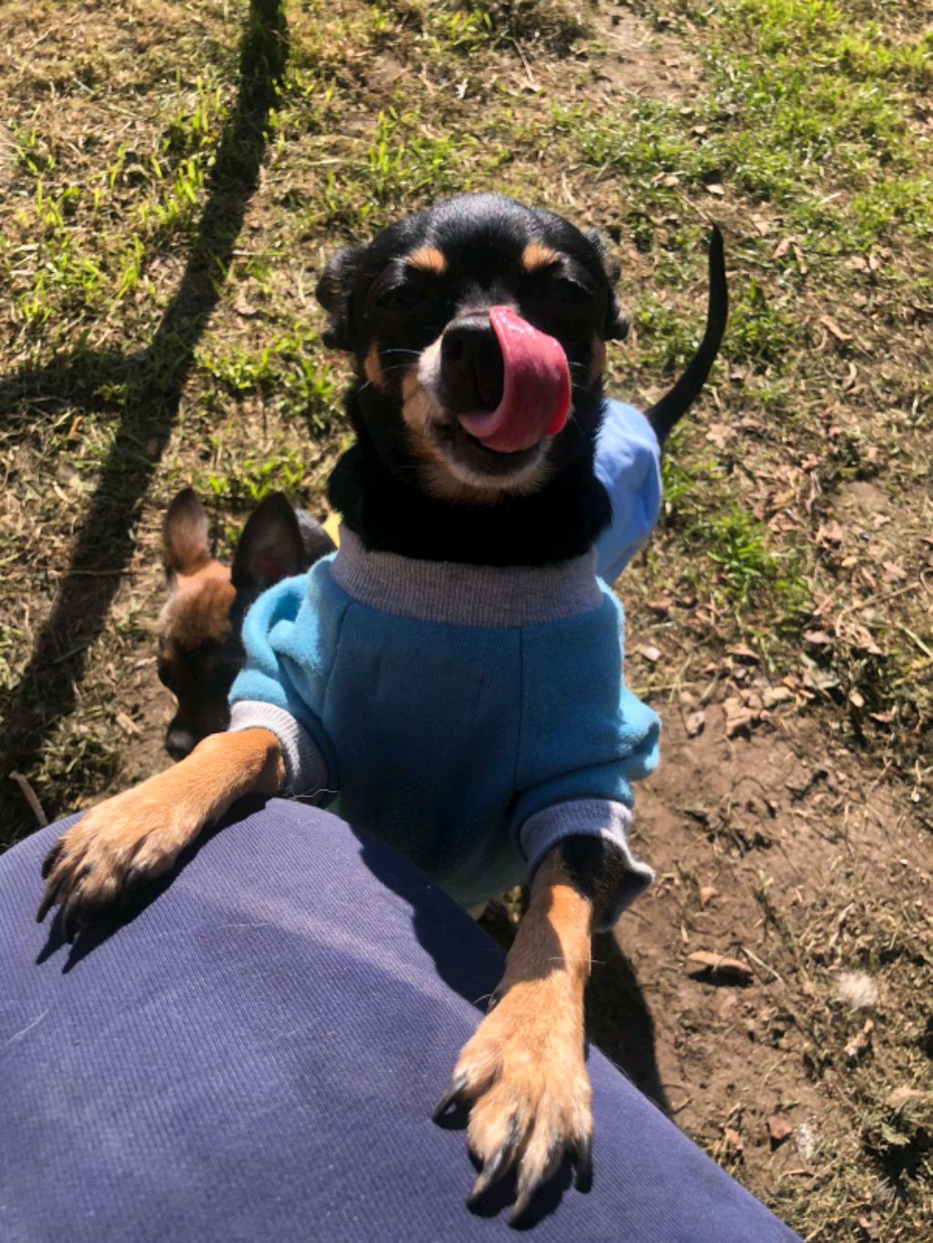 едем с мамой на пикник