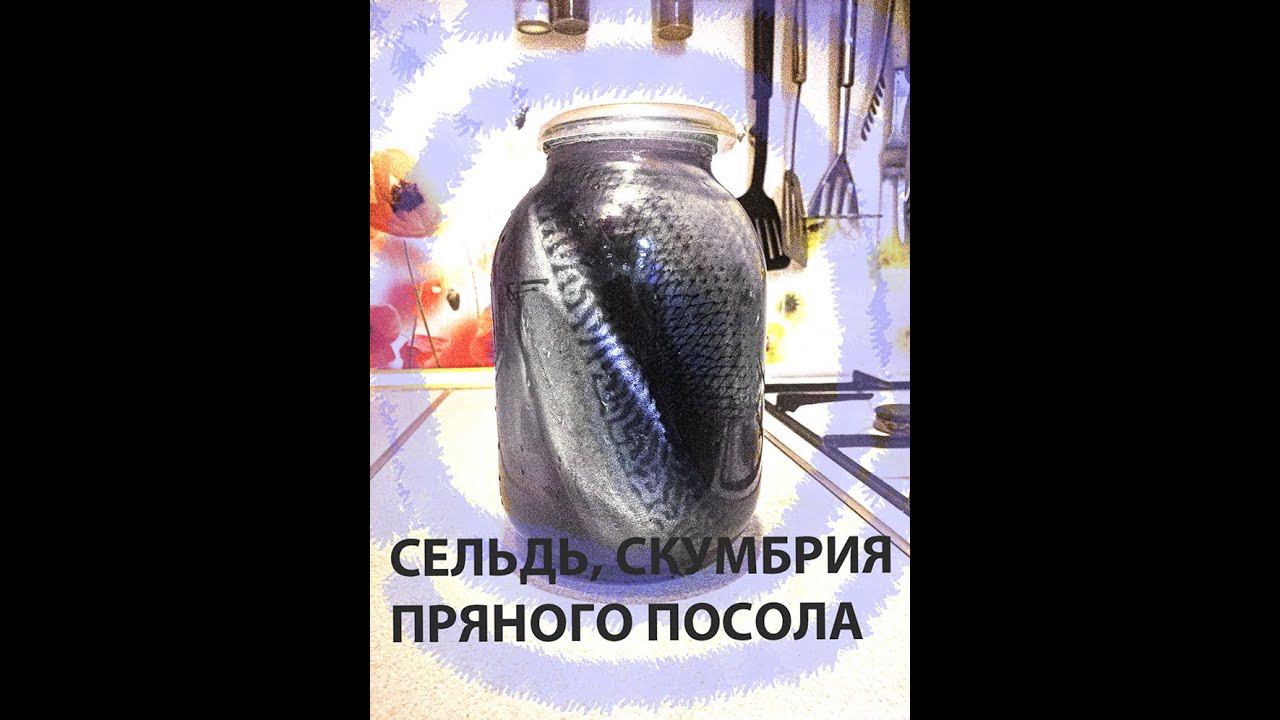 Сельдь и скумбрия пряного посола в домашних условиях смотреть онлайн