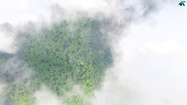 Дорога в облака смотреть онлайн