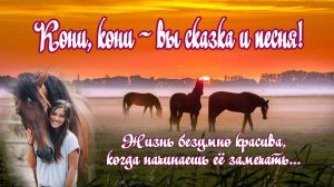 Джеймс Ласт "Одинокий пастух" и мои любимые Кони...  Красиво! Для Души!