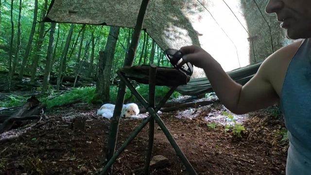 WILD HAMMOCK CAMPING WITH A DOG смотреть онлайн