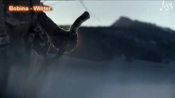 Bobina - Winter [Promo video]