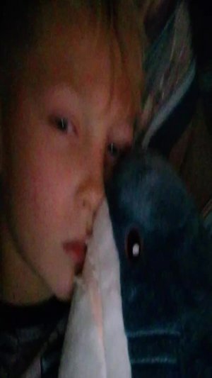 я сплю ( моя жизнь )