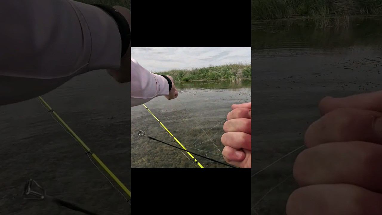 ПОКЛЕВКА ЗМЕЙГОЛОВА И СЛОМАННАЯ КАТУШКА?