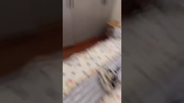 当我跟女友同居两年后，丈母娘直接上门催生！#做我的猫#搞笑#恋爱#fyp#抖音做我的猫#吴予#情侣