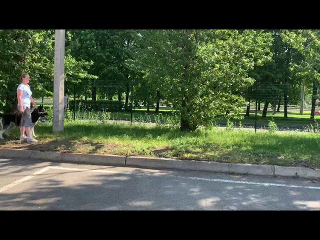 В.Д.Арекс задержание смотреть онлайн