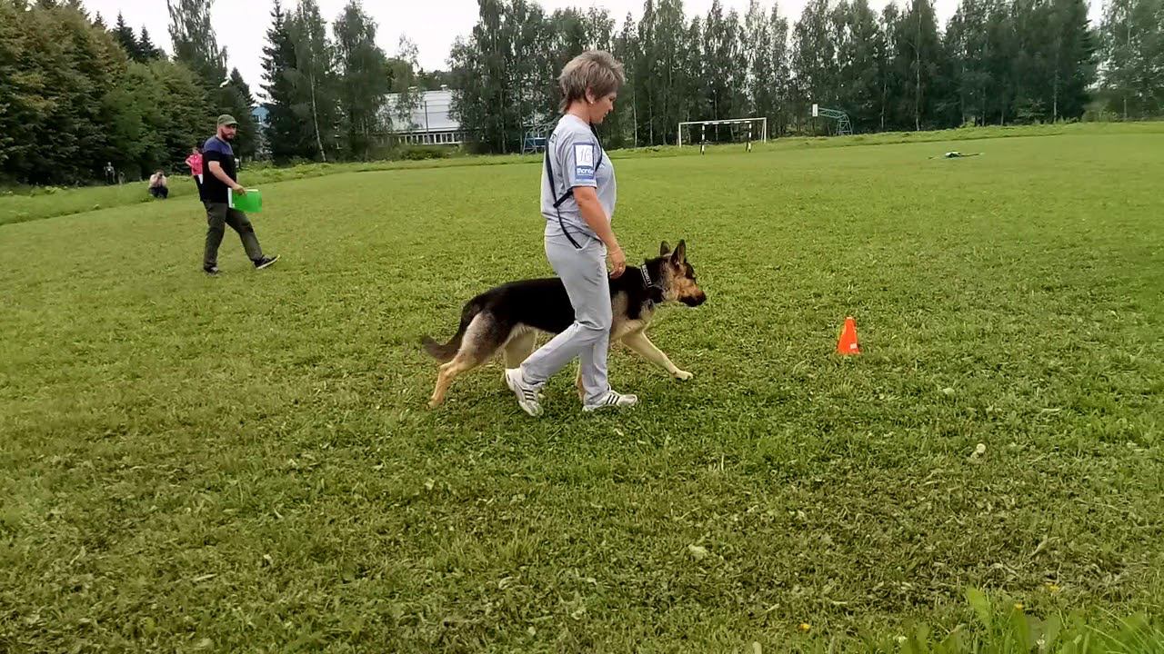 КЧК.Тверь смотреть онлайн