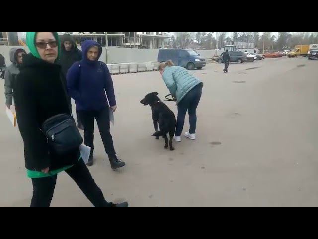 Тестирование КЧК 13.04.2014 смотреть онлайн