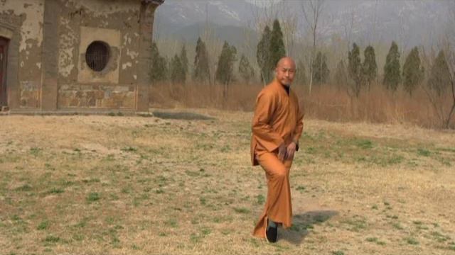 Shaolin Kungfu - ChanWuYi - Zhuang Gong смотреть онлайн