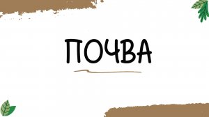 Что такое почва?