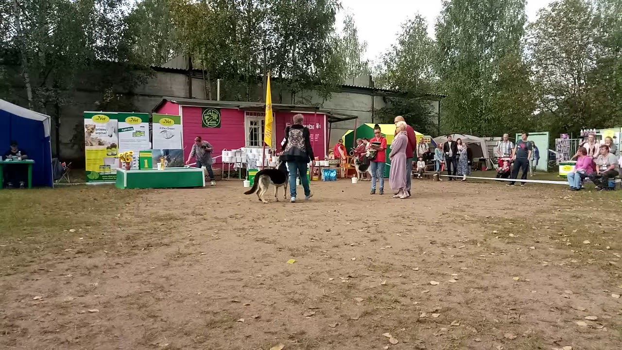 Демираль Ягда смотреть онлайн