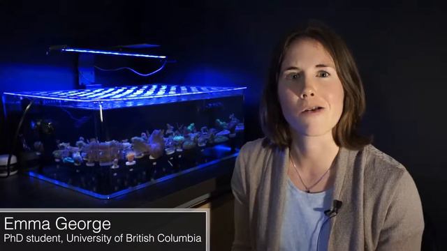 Coral Reef Geometry Wars - Emma George - The University of British Columbia смотреть онлайн