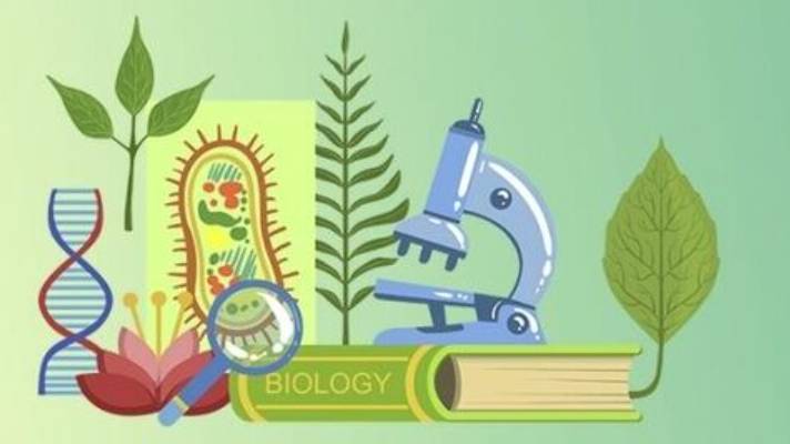 Биология 8 класс. Врожденные и приобретенные формы поведения -- смотреть онлайн