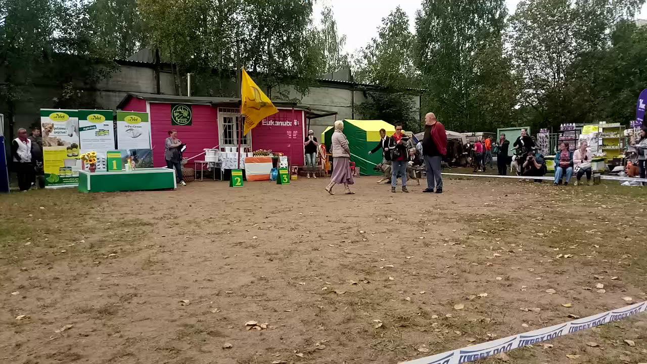 кл.рабочий Айс Сибирь смотреть онлайн
