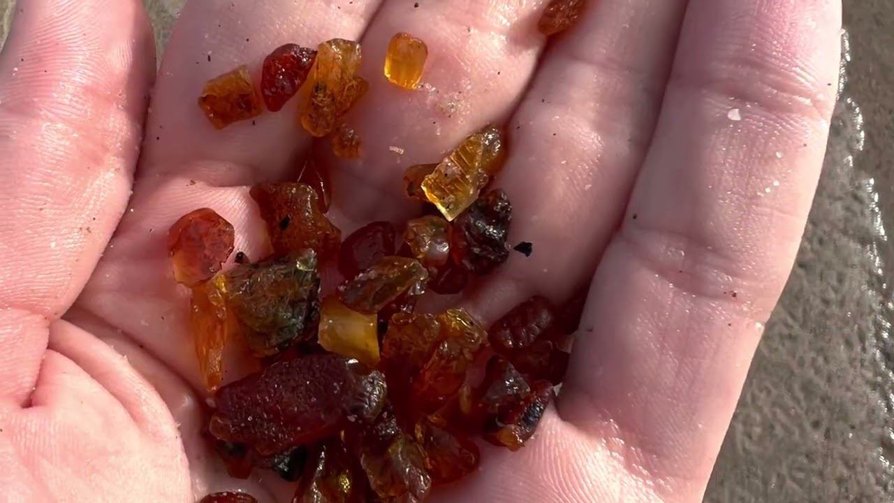 Поездка в Пионерский и Светлогорск