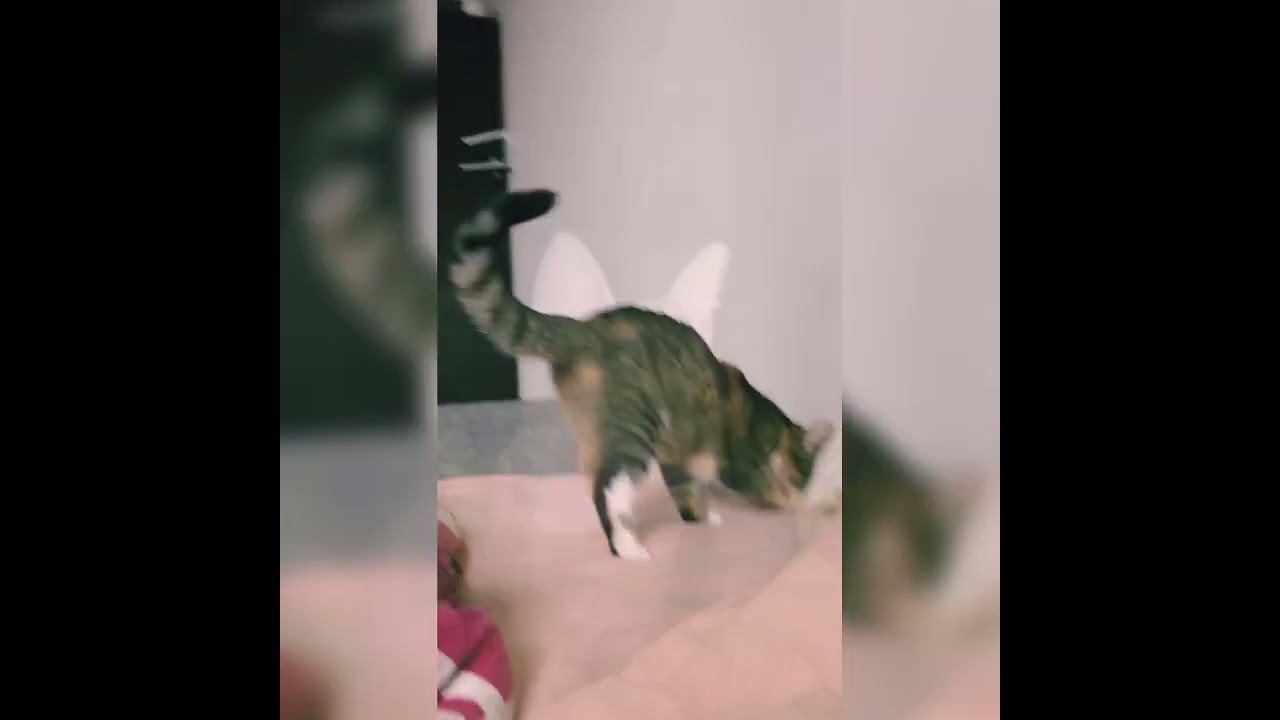 Земля в иллюминаторе видна