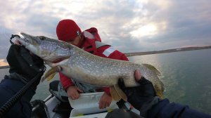 Рыбалка класс.Ловля Щуки на ДЖЕРКИ.