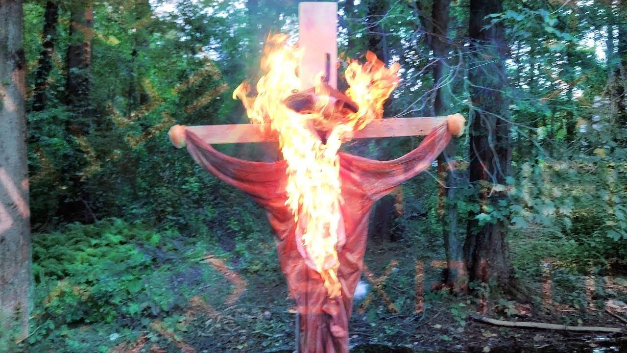 Сын, что такое фурри? смотреть онлайн