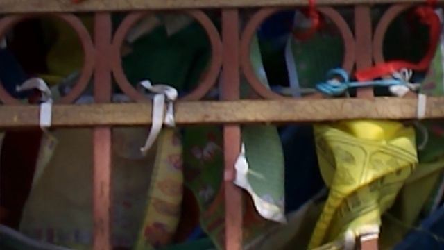 DSCN1837Калмыкия фестиваль тюльпанов