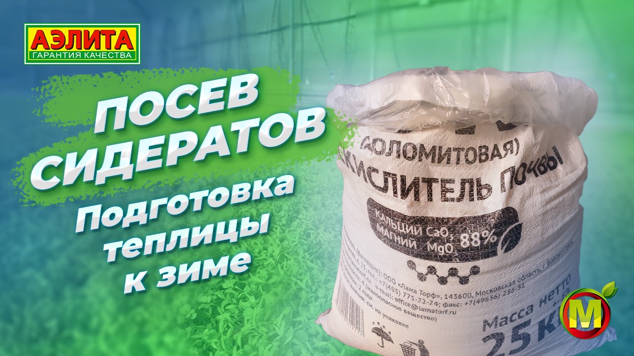 ПОСЕВ СИДЕРАТОВ. ПОДГОТОВКА ТЕПЛИЦЫ К ЗИМЕ смотреть онлайн